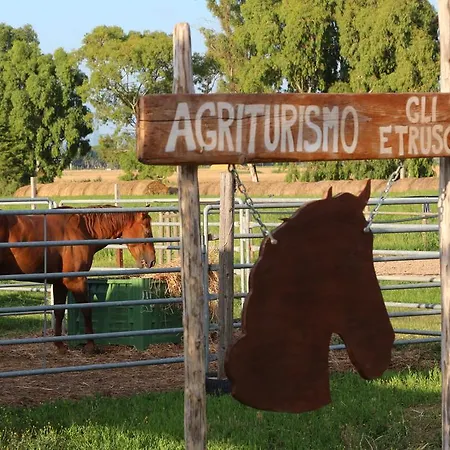 Farm stay Agriturismo Gli Etruschi Populonia