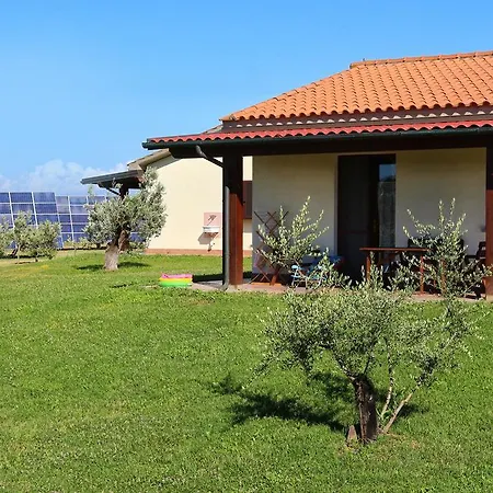 Gli Etruschi Farma *