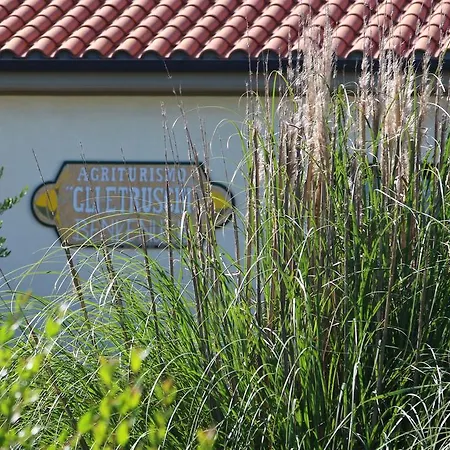 Gli Etruschi