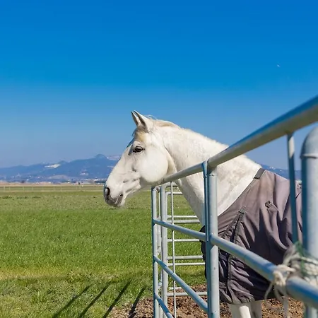 Agriturismo Gli Etruschi Populonia