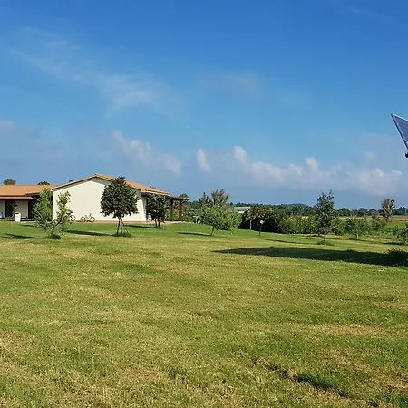 Gli Etruschi *